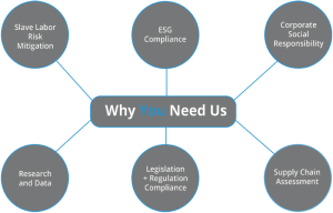 Why You Need Us Diagram (1)